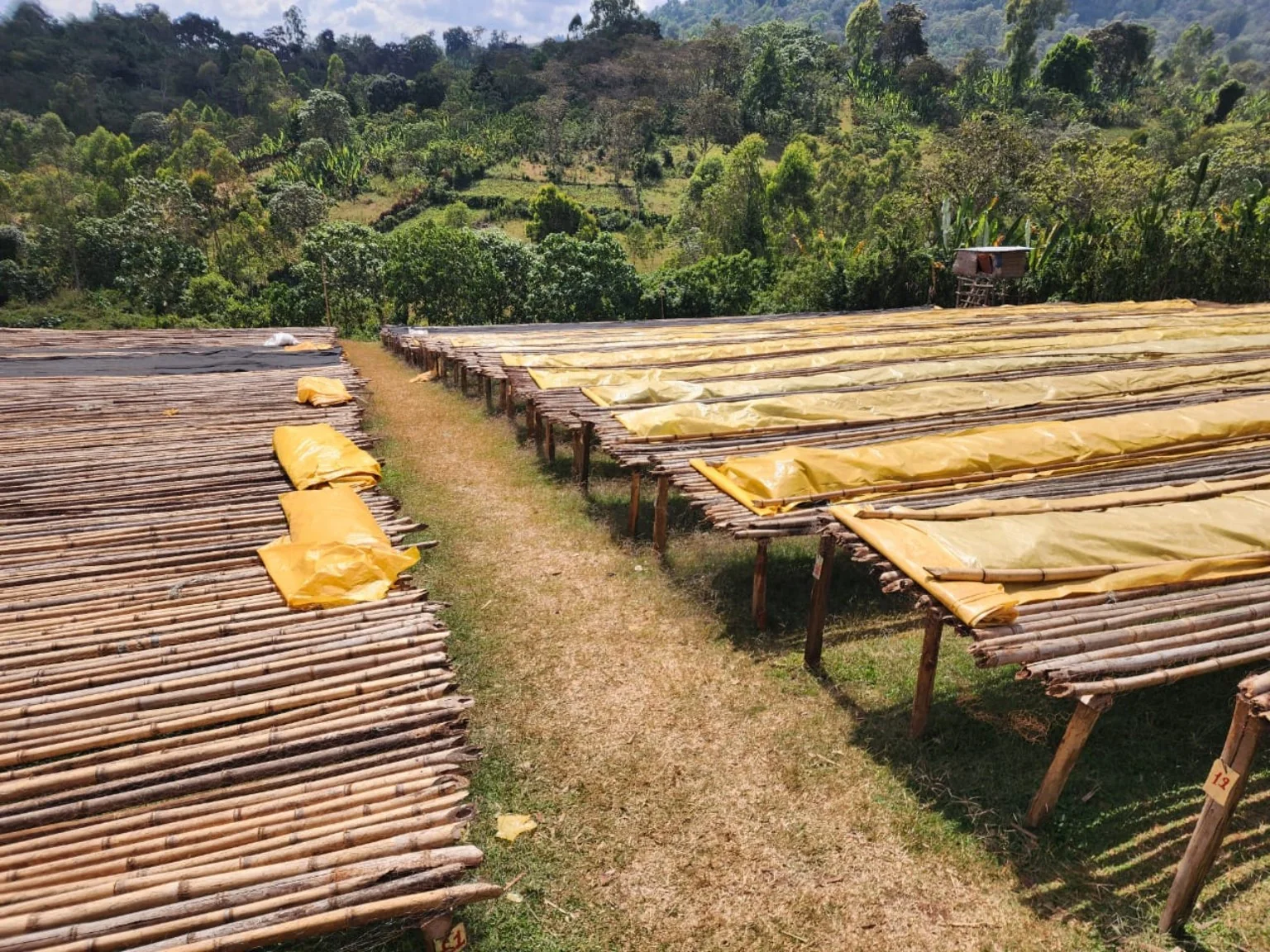Drying infrastructure at origin